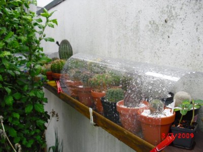 regenschutz.JPG