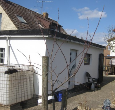 2011_03_26_2.jpg