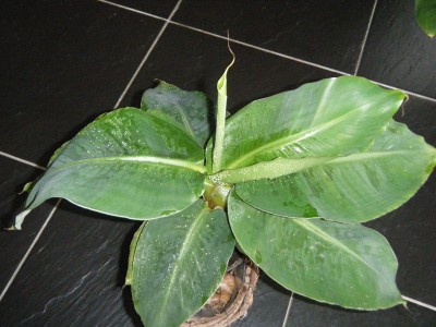DSCF5056.JPG