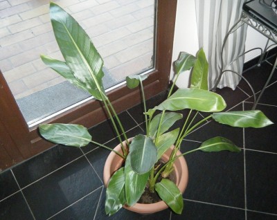 DSCF5039.JPG