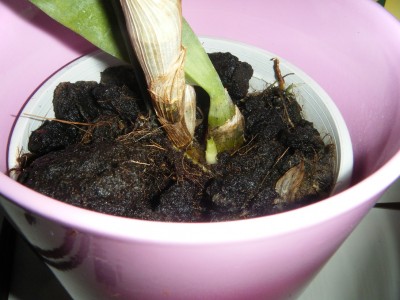 DSCF5035.JPG