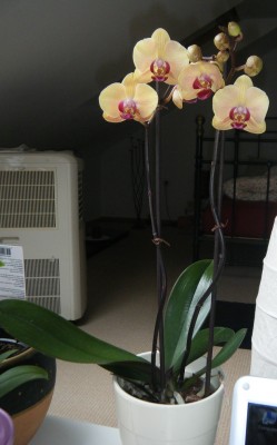 DSCF5057.JPG