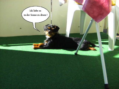 Chico-März 2011 001.jpg