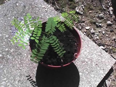 1.27_07_07.jpg