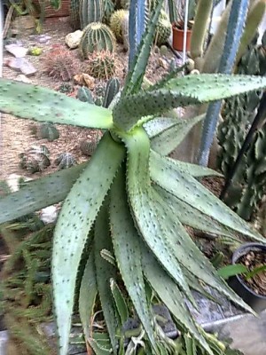 31032011072.jpg