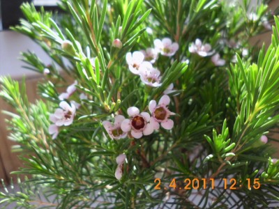 DSCI0007.JPG