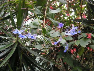 P1010009.JPG