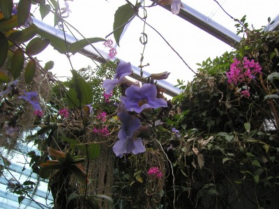 P1010007.JPG