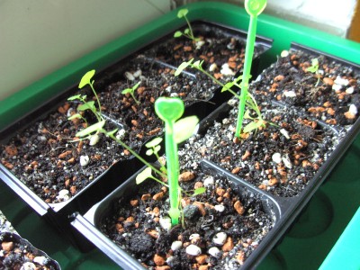 BILD0098.JPG