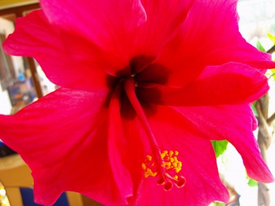 Größenänderung 100D2275.JPG