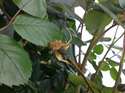 27032011172.JPG