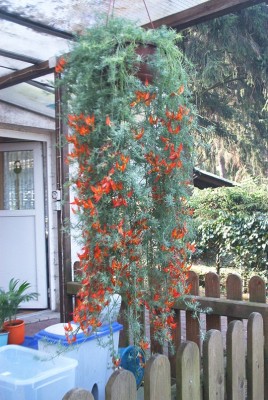 Bild 004.jpg