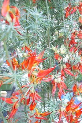 Bild 002.jpg