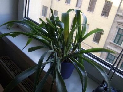 p2.jpg