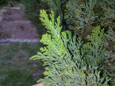 07042011045.jpg