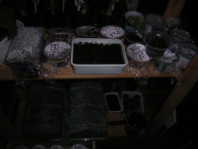 RIMG0120.JPG