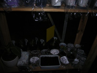 RIMG0119.JPG