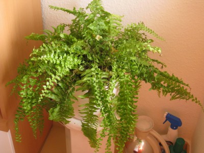 11.04.2011 11-21-20_0735.jpg