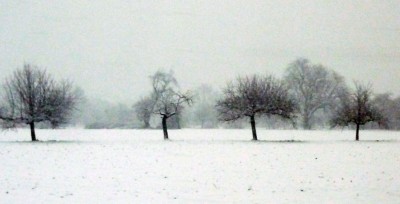 p1030372_188_neu.jpg