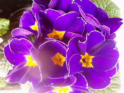 Größenänderung 100D2420.JPG