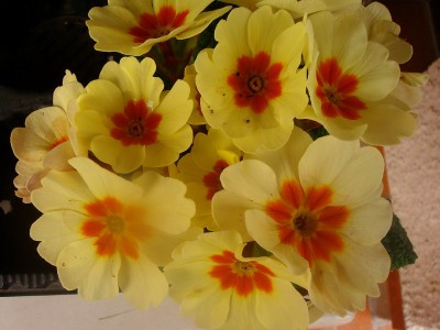 Größenänderung 100D2425.JPG