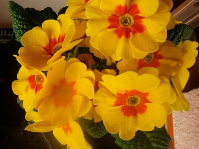 Größenänderung 100D2426.JPG