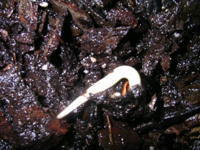 SANY0002.JPG