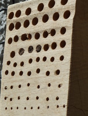 Wildbienen_Nisthilfe3.jpg