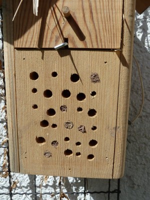 Wildbienen_Nisthilfe2.jpg