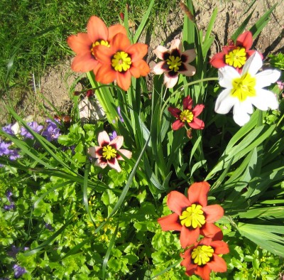 20100624_0001_1.JPG
