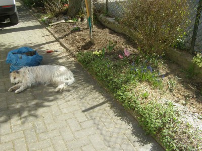 Friedrichsthal ab 20.11 027.jpg