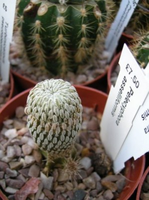 DSCN5975.JPG