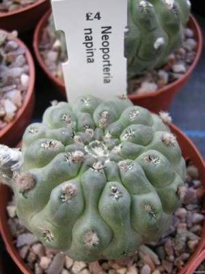 DSCN5974.JPG