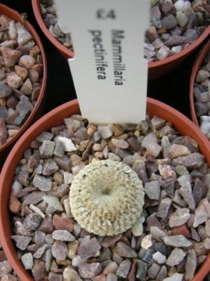 DSCN5972.JPG