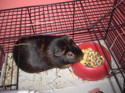 Bild 002.jpg