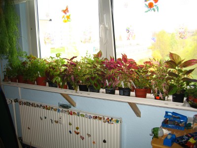 IMG_5874.JPG