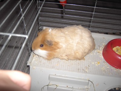 Bild 001.jpg