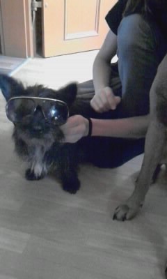 Frieda will hier auch nicht erkannt werden...JPG