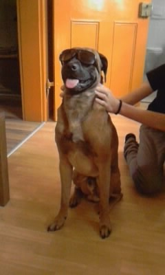 Flash..will wohl nicht erkannt werden..hi.JPG