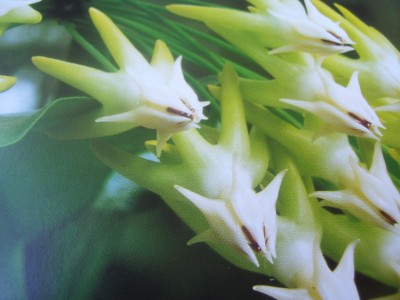 schööööön 313.jpg