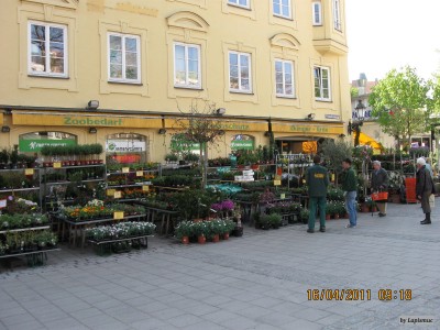 IMG_5392.JPG