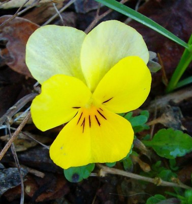 Größenänderung 100D2673.JPG