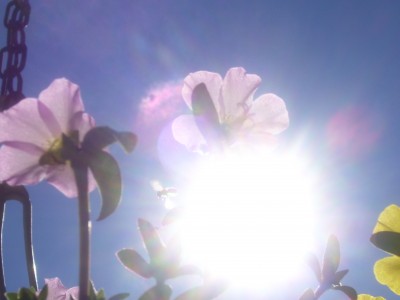 schööööön 242.jpg