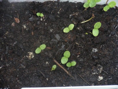 2. Versuch.JPG