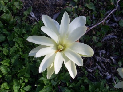 PIC_0006.JPG