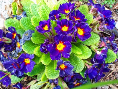 Größenänderung 100D2904.JPG