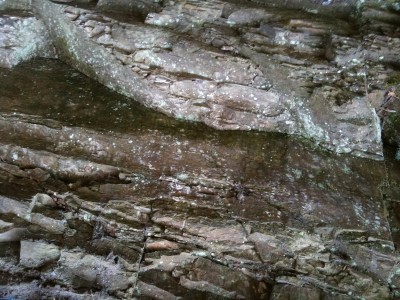 IMG_0113_2.jpg