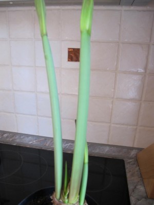 19.04.11.JPG