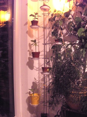 BILD0002.JPG