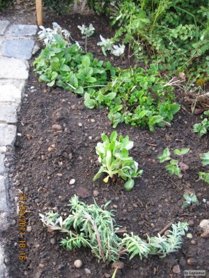 Osterwichteln 2010.jpeg